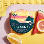 PROMO Kiva Camino Gummies 100mg Watermelon Lemonade